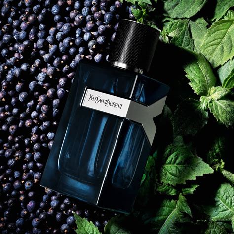 l'intense yves saint laurent|yves Saint Laurent intense spray.